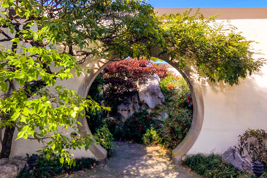 A circular moon gate framed by greenery leads to a serene garden courtyard in Washington, DC.