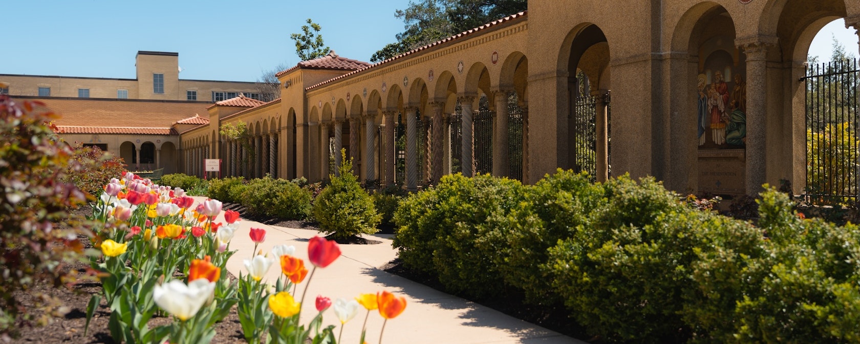 A view of the Franciscan Monastery's gardens, filled with tulips and flanked by arched walkways. 