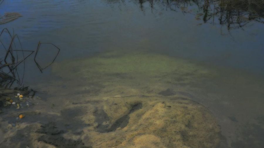 'Peter Campus: There Somewhere' at The Phillips Collection