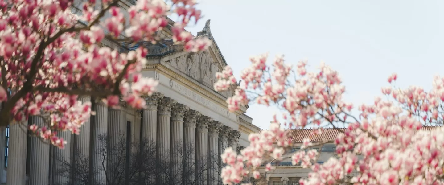 National Archives Through the Cherry Blossoms 