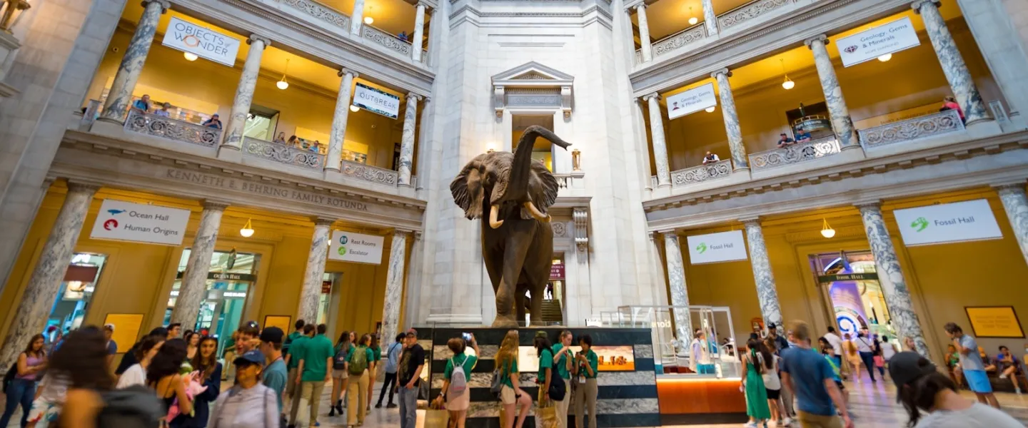 Interior of the Museum of Natural History with the famous taxidermy elephant at the center. 