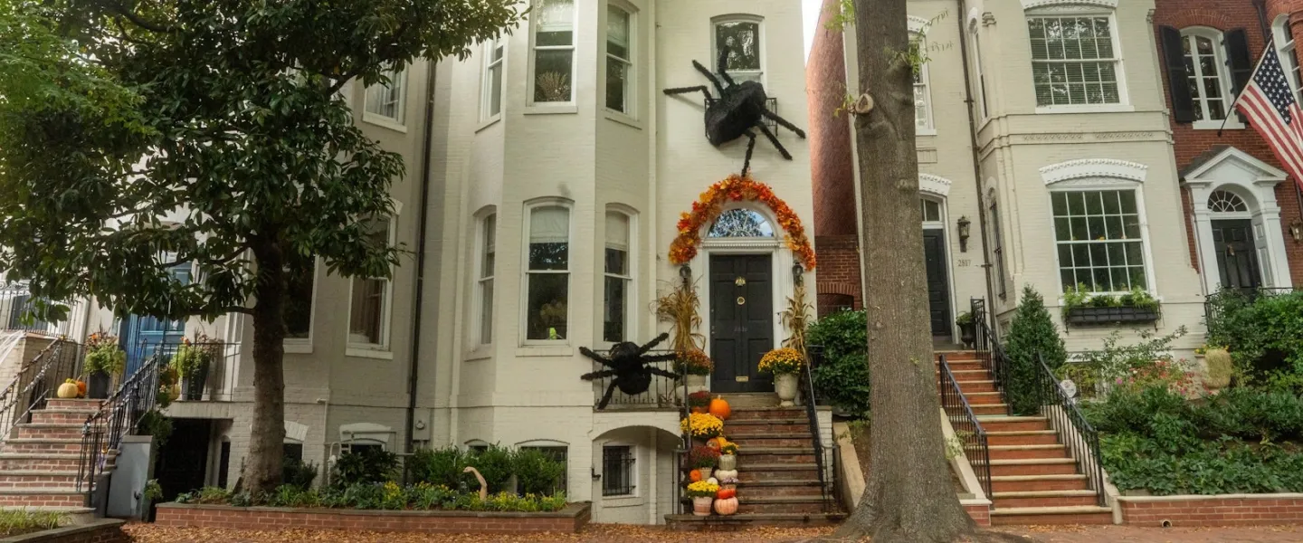 A row of town homes in Georgetown with Halloween decorations, including two large spiders and pumpkins. 