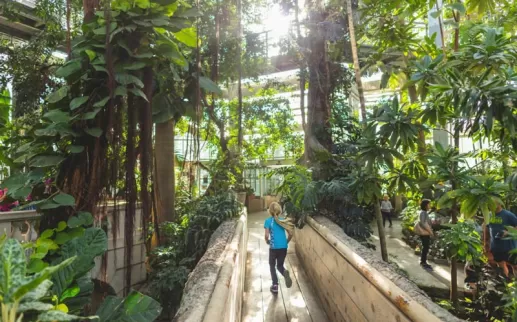 Child at United States Botanic Garden on Capitol Hill - Free living museum in Washington, DC